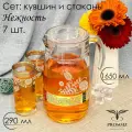 Подарочный набор с алмазной гравировкой PROMSIZ нежность Кувшин с крышкой для напитков 1650 мл, Стаканы для воды 290 мл 6 шт.