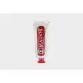 Зубная паста Cinnamon Mint