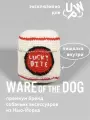 Вязаная игрушка для собак мягкая с пищалкой WARE of the DOG (нью-йорк)