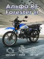 Мопед Motoland Альфа RT Forester 11 (LM48-B) синий