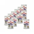 Royal Canin Sterilised влажный корм стерилизованных кошек кусочки в желе, в паучах - 85 г х 12 шт.