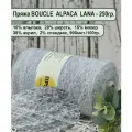 Пряжа BOUCLE ALPACA LANA 10 альпака, 20 шерсть, 15 мохер, 15 нейлон, 38 акрил, 2 спандекс 100гр./900м цв.03 серебро (250гр.)