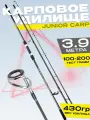Карповое удилище 390см JUNIOR CARP