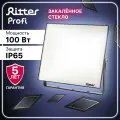 Прожектор Ritter светодиодный PROFI 230В 100 Вт 6500К 10000Лм IP65 черный 53410 9