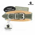Ошейник-селедка для собак с QR-адресником, 19-23см
