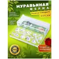 Стандартная муравьиная ферма максимальный комплект