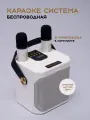 Караоке-система, с двумя беспроводными микрофонами, Bluetooth