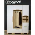 Прихожая Копенгаген (вешалка с тумбой + пенал с нишей левый + пенал со створкой левосторонний) Дуб сонома/Белый матовый