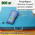 Весы торговые беспроводные Гарант ВПН-300МБ до 300 кг, 42х52 см, синий