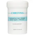 Christina Hydrating Day Cream Green Apple + Vitamin E For Normal And Dry Skin Увлажняющий дневной крем с витамином Е для нормальной и сухой кожи Зеленое яблоко 250 мл 250 г 1 шт. 1 шт. пластиковая банка