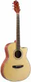 FLIGHT AG-210C NA Гитара акустическая серия Q3