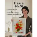 Рама для картин 40*50 / Багетная фоторамка для постера, мозаики по номерам, вышивки/ 5 штук