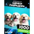 Пазл Щенки лабрадора 1000 деталей Новичок