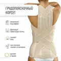 Корректор осанки Orliman LT-320, размер 2, высота 54 см, бежевый