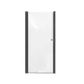 Душевая дверь в нишу Parly 80х185 DE80B стекло прозрачное, профиль черный