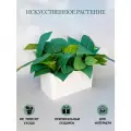 Искусственная трава в ящике для дома и офиса, ПоДар. Ок Home