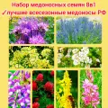 Набор медоносных семян 8в1 (1600 гр) эспарцет фацелия синяк донник козлятник клевер красный горчица гречиха