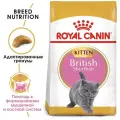 Royal Canin RC Для котят Британск.короткошерстн.:4-12мес. (Kitten British Shorthair) 25660200R0 2 кг 22946 (2 шт)