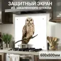 Защитный экран от брызг на плиту 600х600х4мм. Стеновая панель для кухни из закаленного стекла. Фартук для кухни на стену