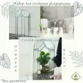 Набор для создания флорариума: форма Башня собери свой мини сад из стекла