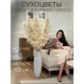 Пампасная трава DesignFlowers, сухоцветы для декора, кортадерия 5 шт, 130 см