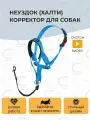 Недоуздок (Халти) №1 корректор для собак CHOKERZ. Обхват морды 14-18 см, шеи - 30-35 см