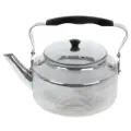 Чайник ЭРГ-АЛ 3,0 л полированный