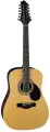 Акустическая гитара Greg bennett D2-12 N