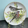 Настенная тарелка, Buchfink, птицы Sommergoldhahnchen от бренда Tirschenreuth