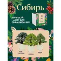 Набор для выращивания растений Зеленый глобус Сибирь. Ель голубая, Сосна, Кедр