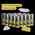 Натуральный лимонад без сахара LAPOCHKA x THERR MAITZ Дыня + Мята 20 x 0,33 л