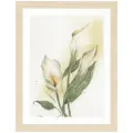 PN-0008015 Набор для вышивки крестом LanArte Calla lily flower Каллы