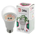 Лампа светодиодная для растений ЭРА 12Вт E27 220В красно-синий спектр груша