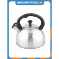 Чайник Tefal 2.5 л, нержавеющая сталь, матовый (N4210117)