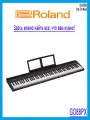 Roland GO-88PX Портативное цифровое пианино