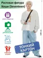 Хоши (SEVENTEEN) 3 Ростовая фигура, Тонкий картон, (Print100.ru)