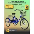 Электровелосипед трехколесный для взрослых РВЗ Чемпион, 350 15, черный