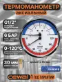 Термоманометр аксиальный CEWAL TRP80 VI, (0-6 Bar 0-120C) Италия