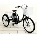 Трехколесный электровелосипед для взрослых Izh-Bike (Иж-Байк) Фермер 24 2025 Черный