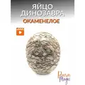 Яйцо Динозавра окаменелое, натуральный камень, размер: 10-12см.