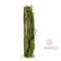 Кора декоративная со мхом (45 см*8см) №9165-4
