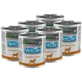 Консервы Farmina Vet Life Diet Dog Convalescence для собак в период восстановления и выздоровления (6шт х 300г)