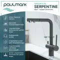 Смеситель для кухни с выдвижным изливом Paulmark SERPENTINE серый металлик, с подключением фильтра питьевой воды, Se213222-GRM