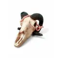 Декорация для террариума, череп LUCKY REPTILE Skull Ram, 19.5х7х12см (Германия)