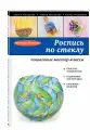 Роспись по стеклу: пошаговые мастер-классы (мягк.)