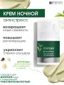Premium Крем-комфорт ночной с капсулами церамидов MATCHA anTEAstress