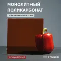 Монолитный поликарбонат, 4 мм, 210х950 мм, Коричневый, листовой, NEW