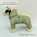 Комбинезон, одежда для собак мелких и средних пород, пуховик для животных (мальчик) Дино