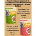 Набор №1 Влажный корм Мнямс для стерилизованных кошек, кусочки в соусе с кроликом и лососем, 24 шт х 85 гр