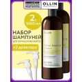 Шампунь SALON BEAUTY для окрашенных волос OLLIN PROFESSIONAL с экстрактом винограда с дозаторами 1000 мл - 2 шт